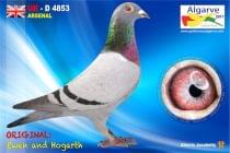 UK-D 4853